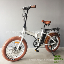Aluminium Folding Electric Bike with 500W Hub Motor